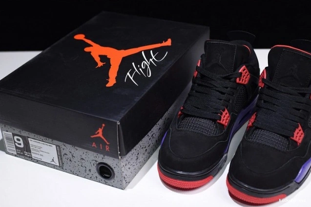 Jordan 4 Retro NRG Air Raptors